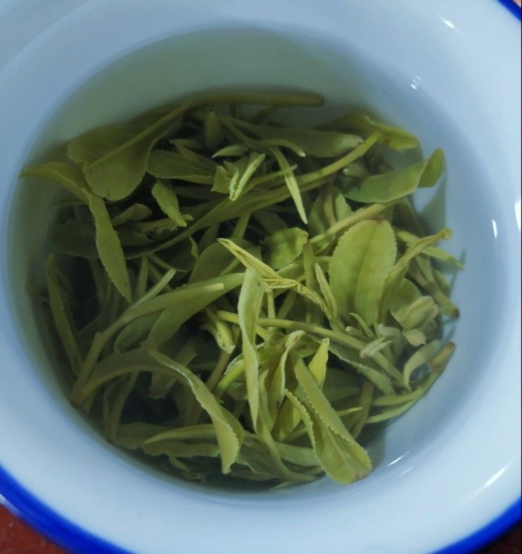 绿茶婺源仙枝一芽两大鄣山顶高山名优生态古树其它绿茶