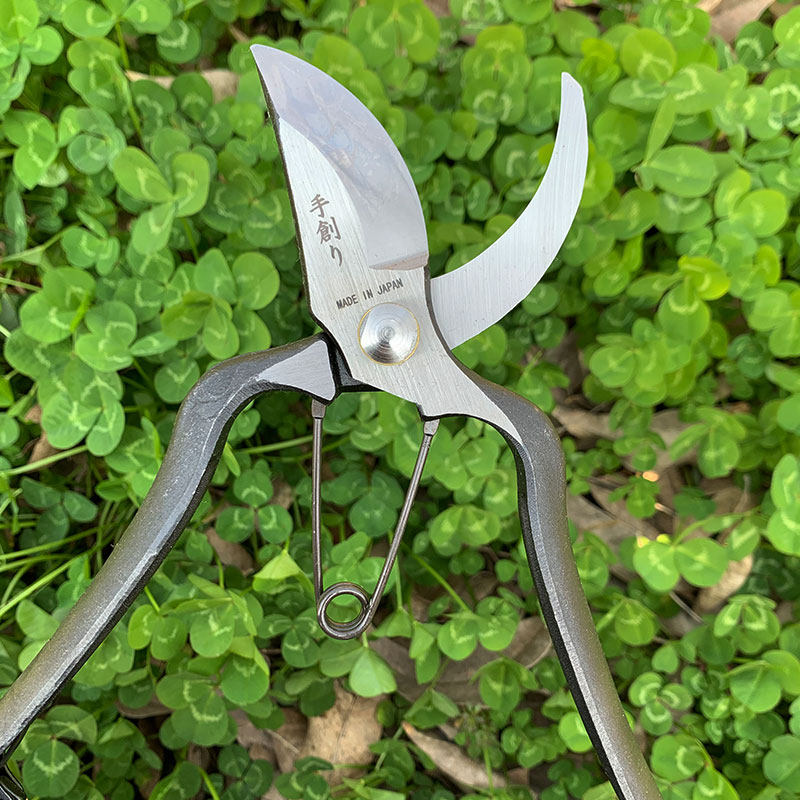 花小白新品日本本手修枝剪御剪定原装进口家用果树剪刀