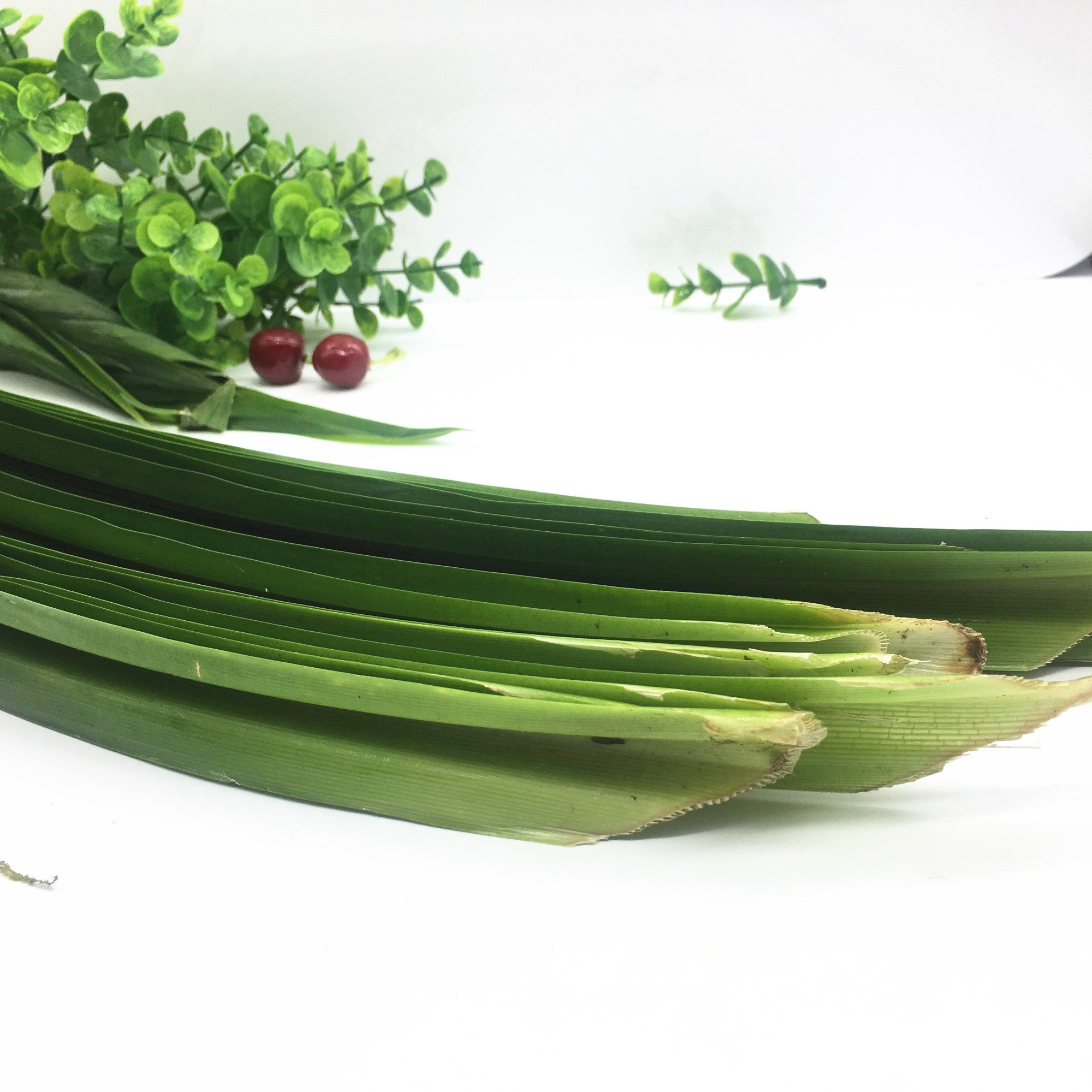 3斤装 包邮 新鲜斑斓叶香兰叶斑兰叶班兰叶芒果糯米饭调料1500g