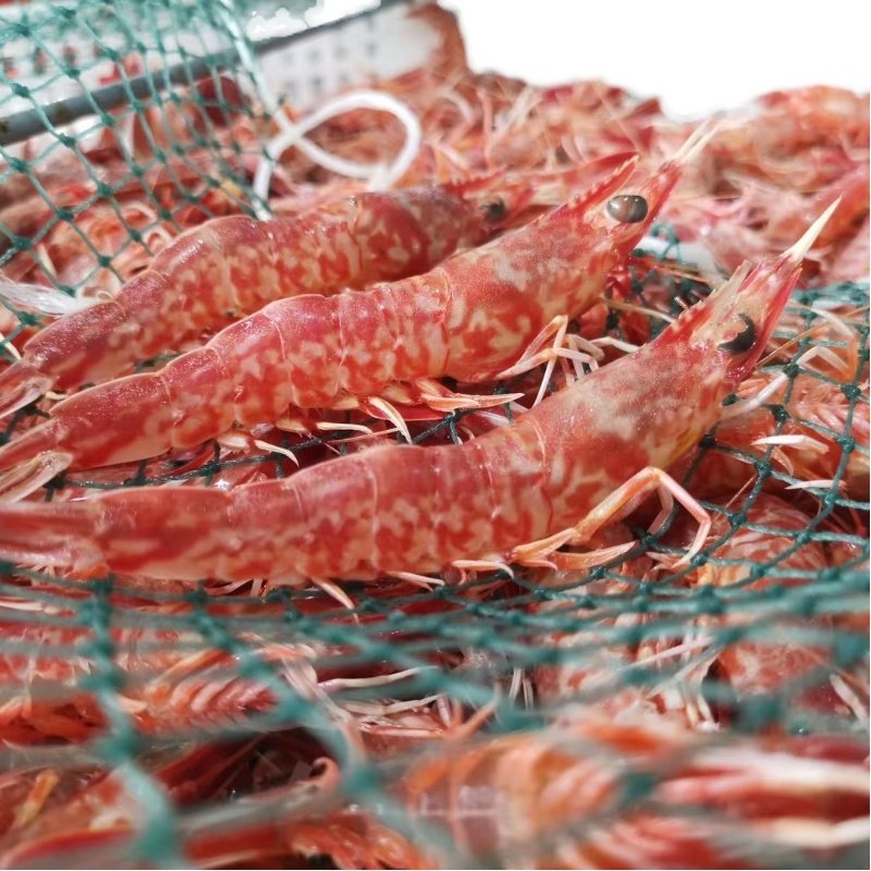 海鲜东山岛樱花花虾须赤虾赤米海虾活冻水产宝宝冻虾