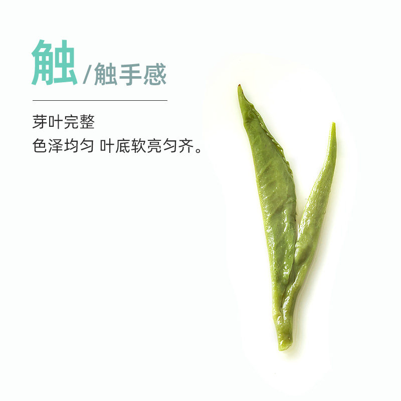 2022年明前茶叶听装充氮绿茶龙井茶特级青白新茶龙井茶非西湖