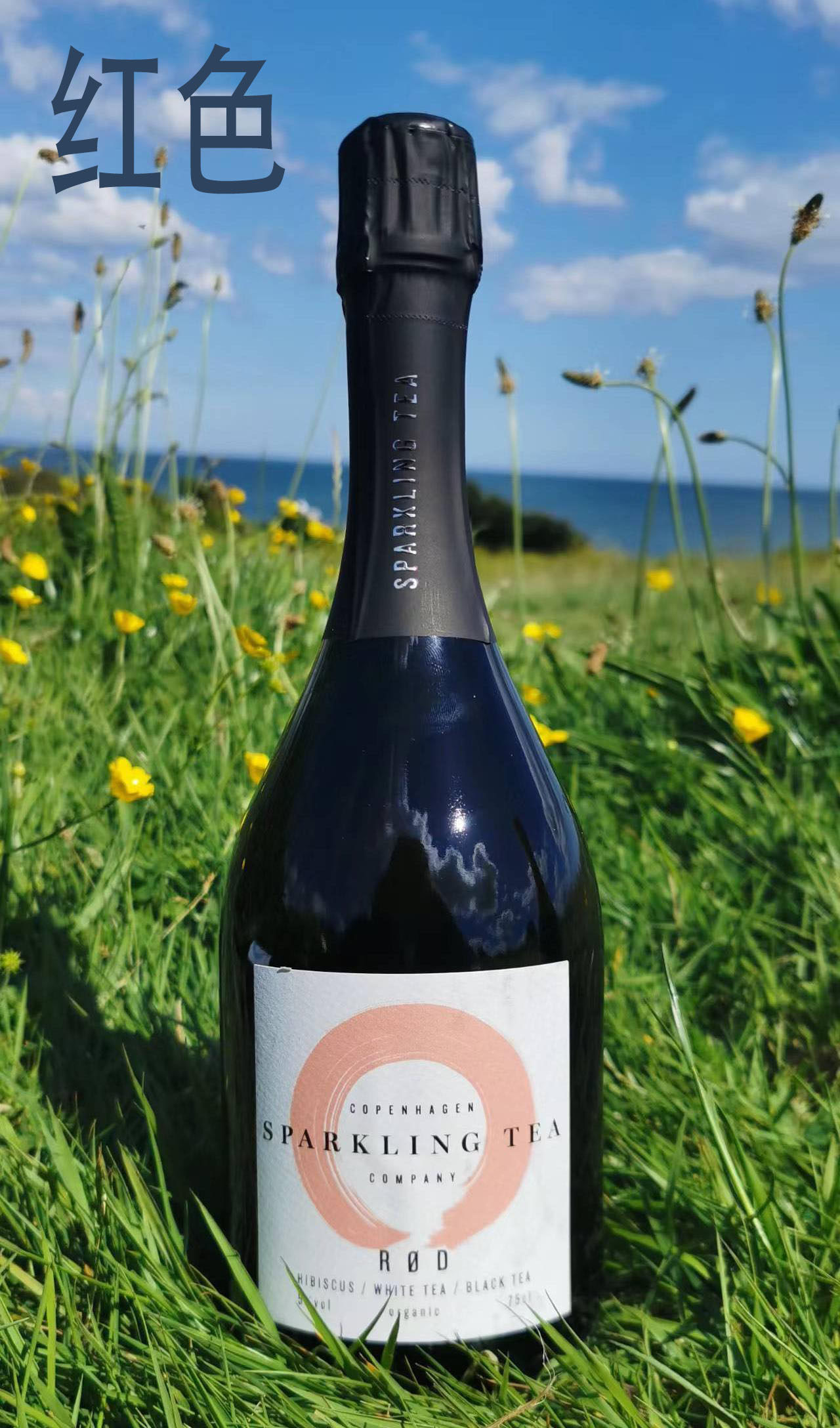 英国代购丹麦copenhagensparklingtea哥本哈根气泡泡茶香槟酒茶饮料