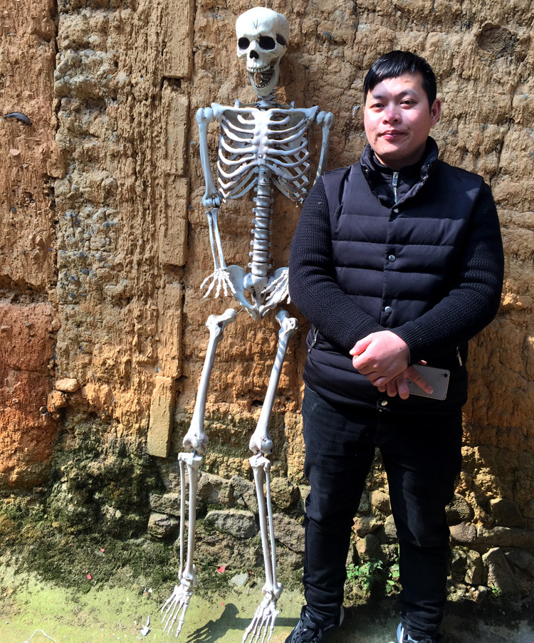 骷髅骨架万圣节装饰ktv密室逃脱鬼屋酒吧装扮其它