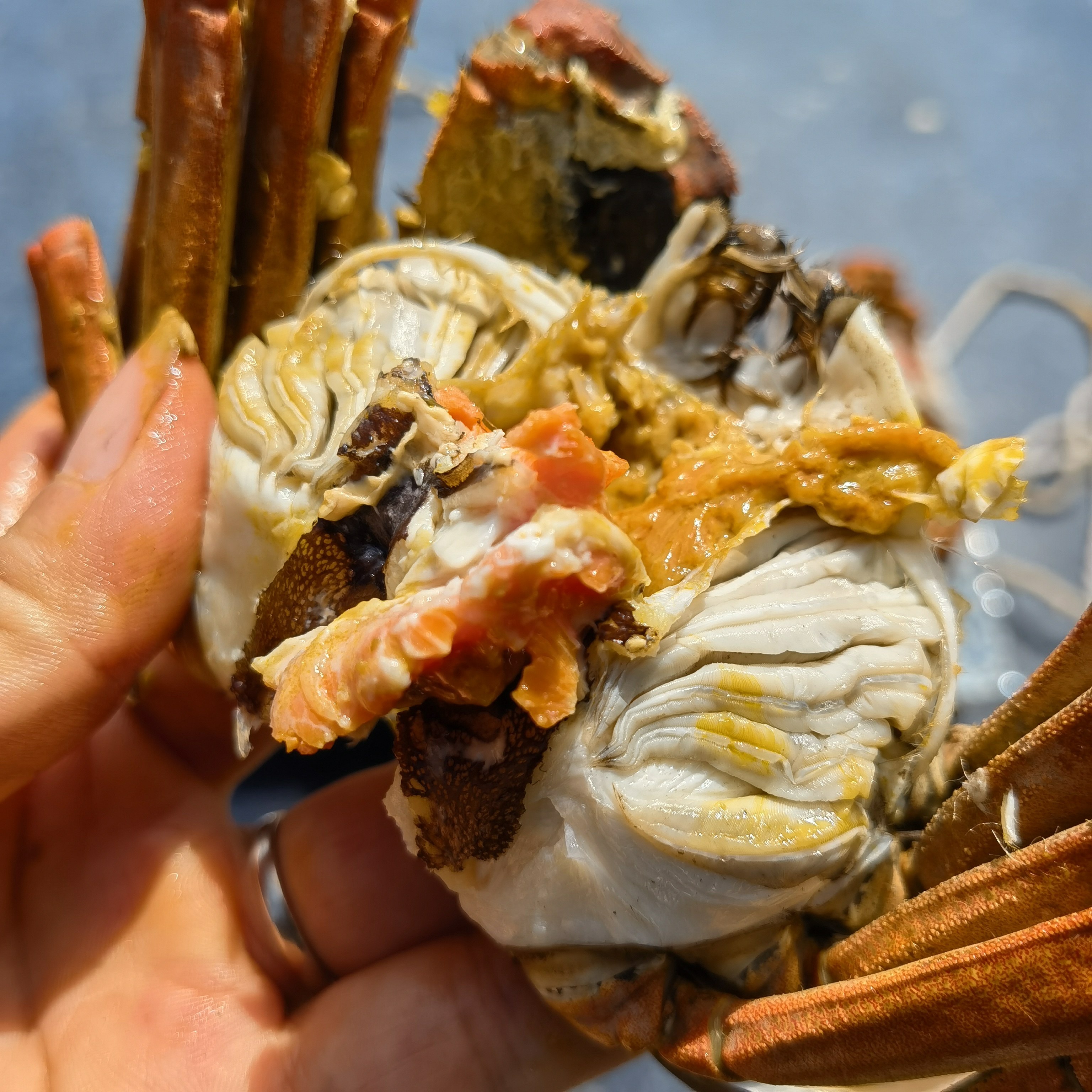 生态养殖11年老店大闸蟹母蟹35两南瓜玉米小鱼大闸蟹