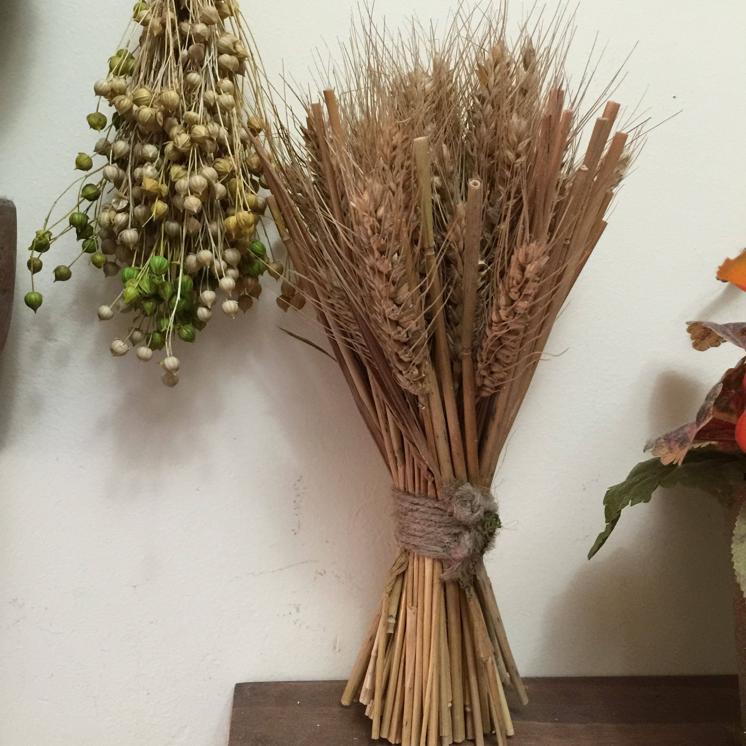 干花乡村zakka杂货饱满麦穗天然长枝插花配件干花