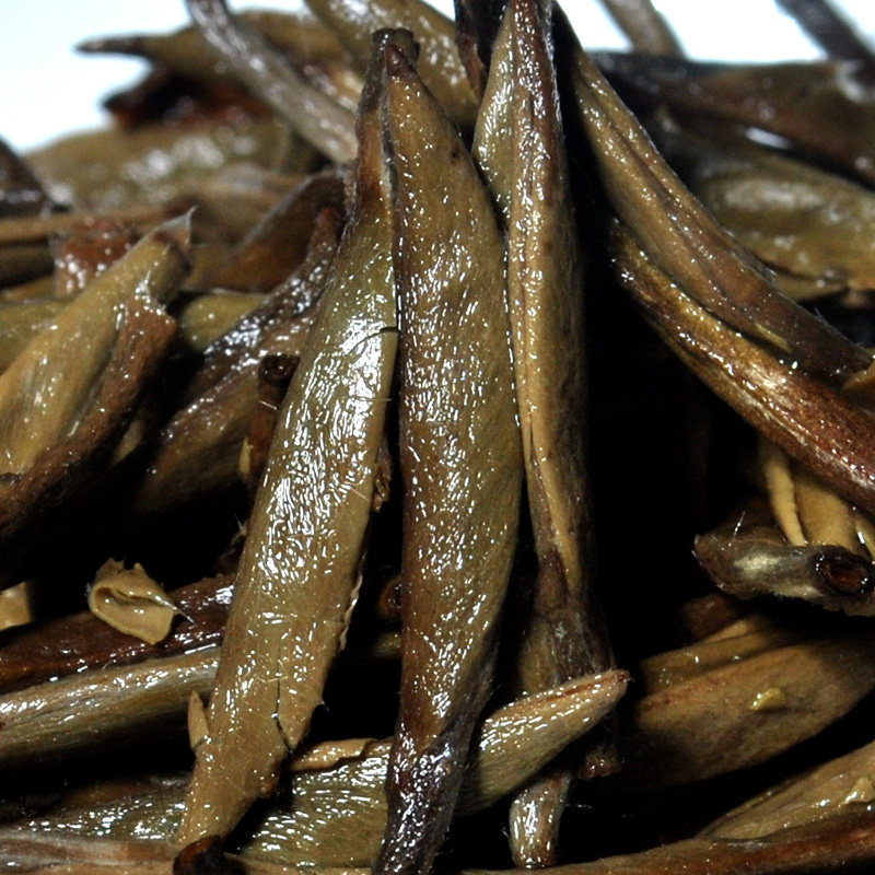 2009年荒野白毫银针散茶10克2泡福鼎白茶白毫银针陈年特级茶叶