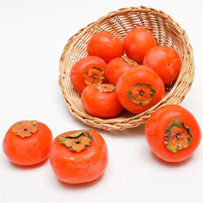 火晶罐秋阳丰脆甜水水果柿子树苗富平尖顶南北方果树