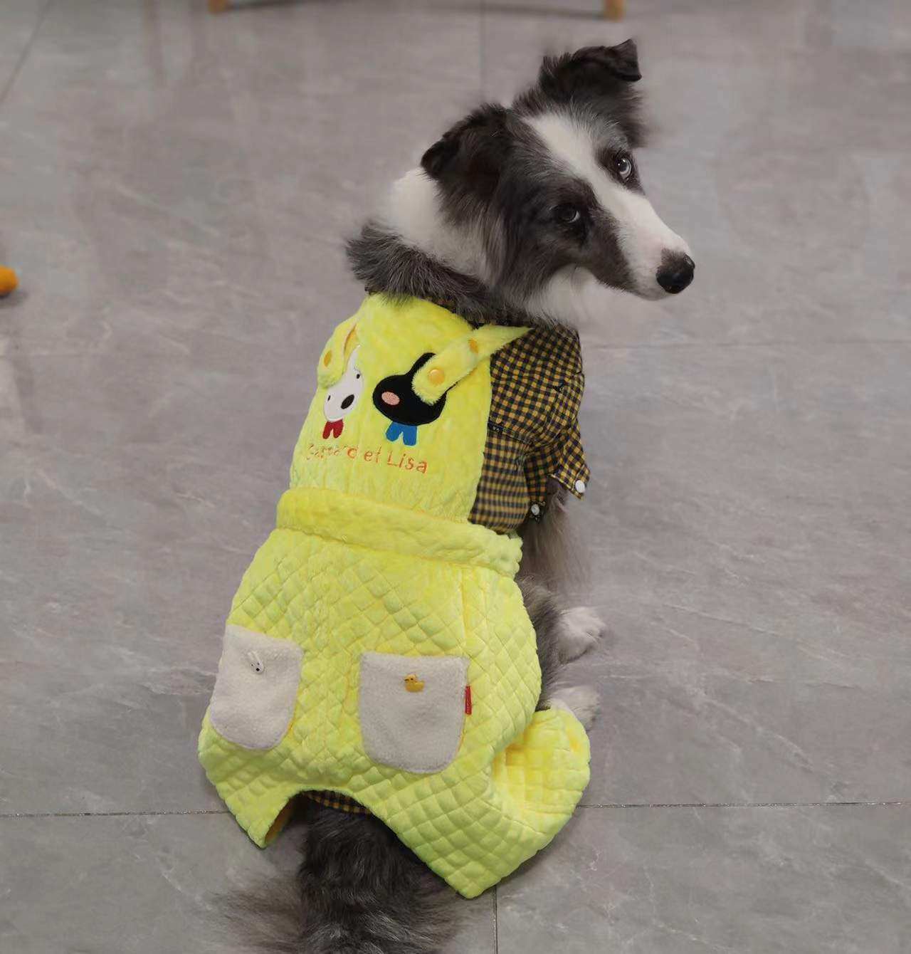 很有腔调百搭小可爱超萌背带裤大码金毛巨贵连体狗宠物服装