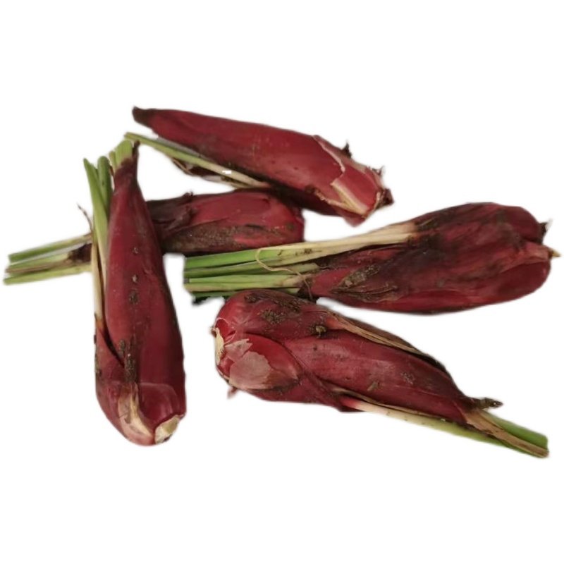 红葱头新鲜小红蒜根中药材百步还阳红血调料包邮葱类