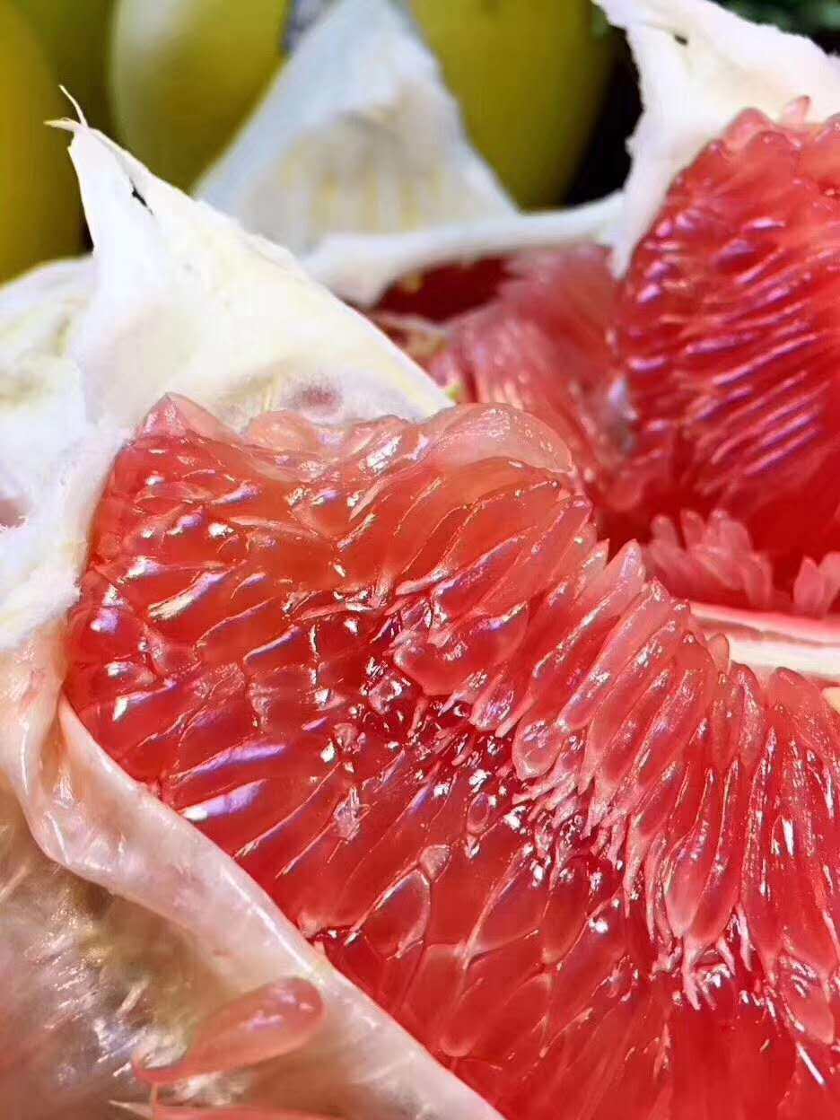 梅州大埔百侯红心蜜柚新鲜时令水果老树售罄柚子