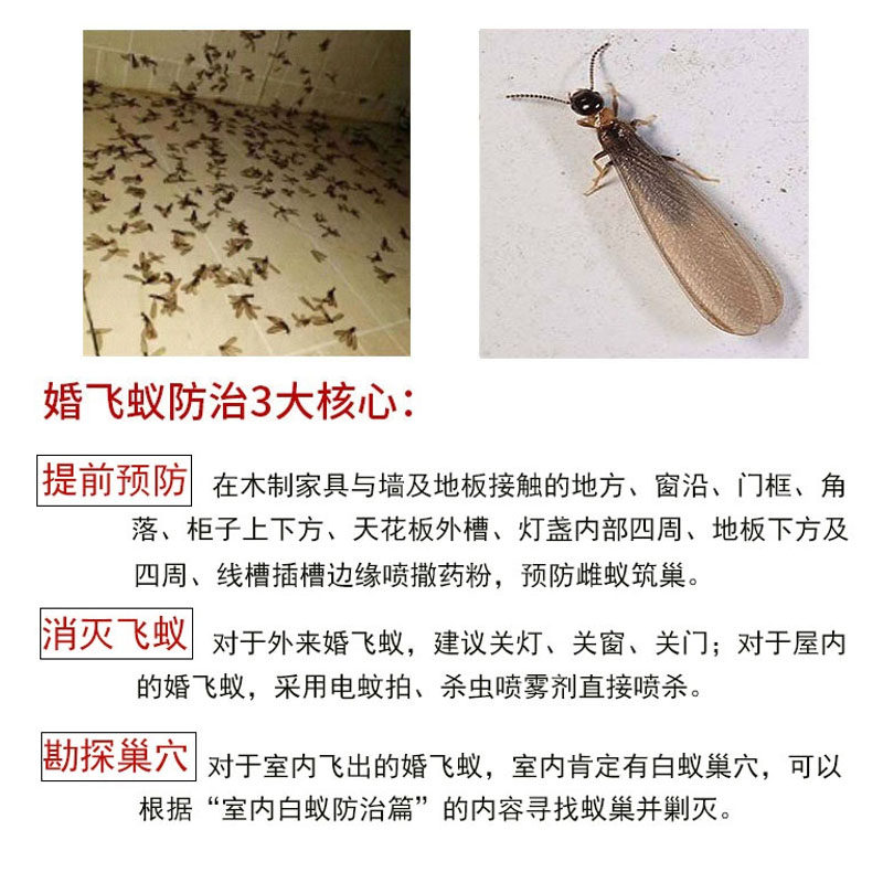白蚁家用防治消灭大水粉飞蚂蚁飞蚁专用杀虫剂灭蚁药卫生农药