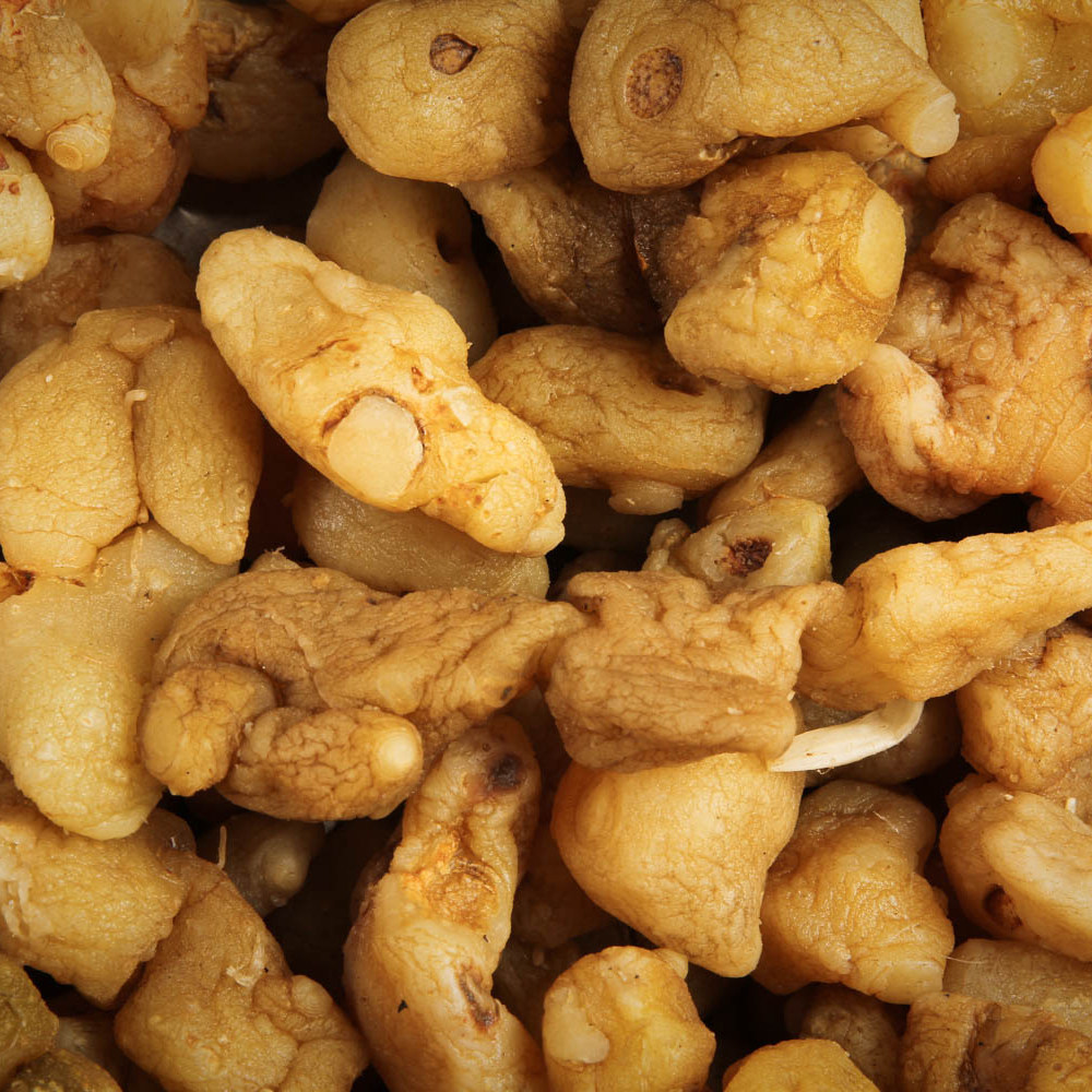 玉竹2021年新货野生去皮头生无硫海竹头海6头左右其他药食同源食品