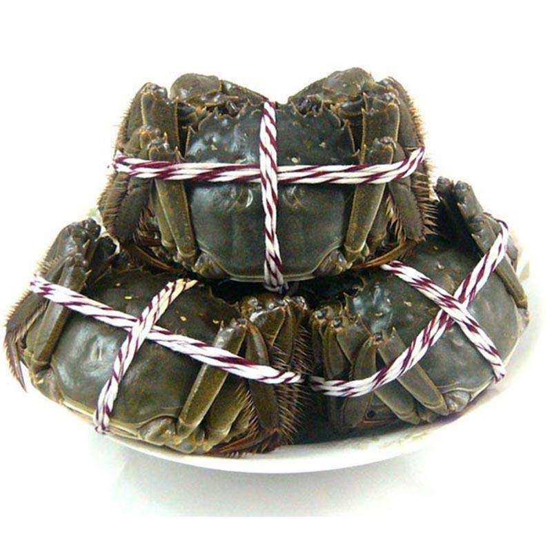 鲜活大闸蟹全母2022两江苏清水红膏六月黄雌蟹重庆大闸蟹