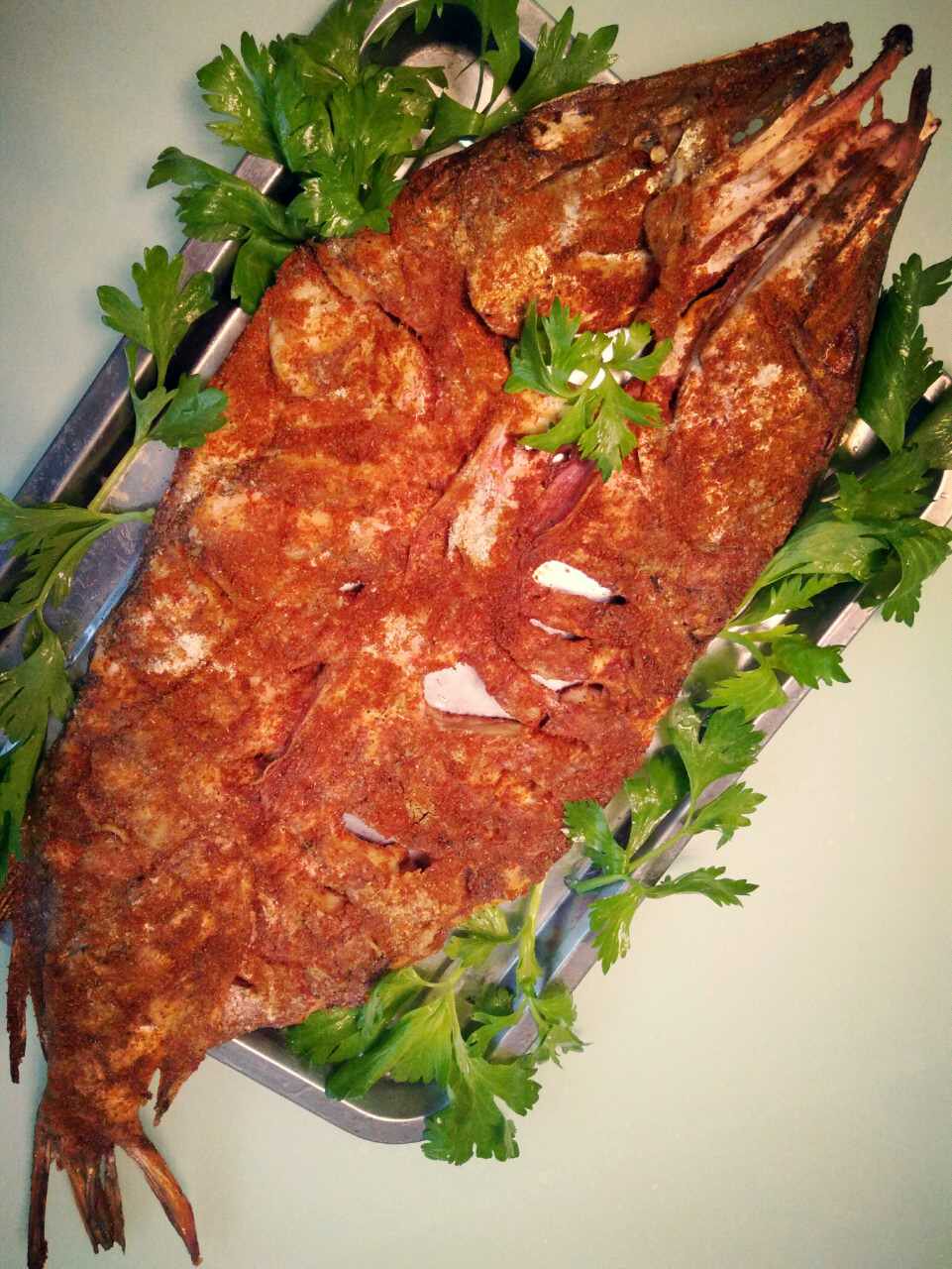 包邮顺丰制冷新疆福海烤鱼狗鱼3斤羊肉串清餐即食鱼零食