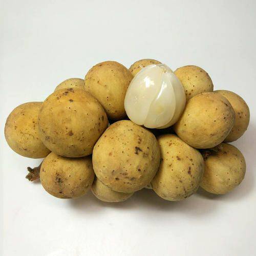 龙宫现货顺丰空运新鲜龙贡果5a品质其它