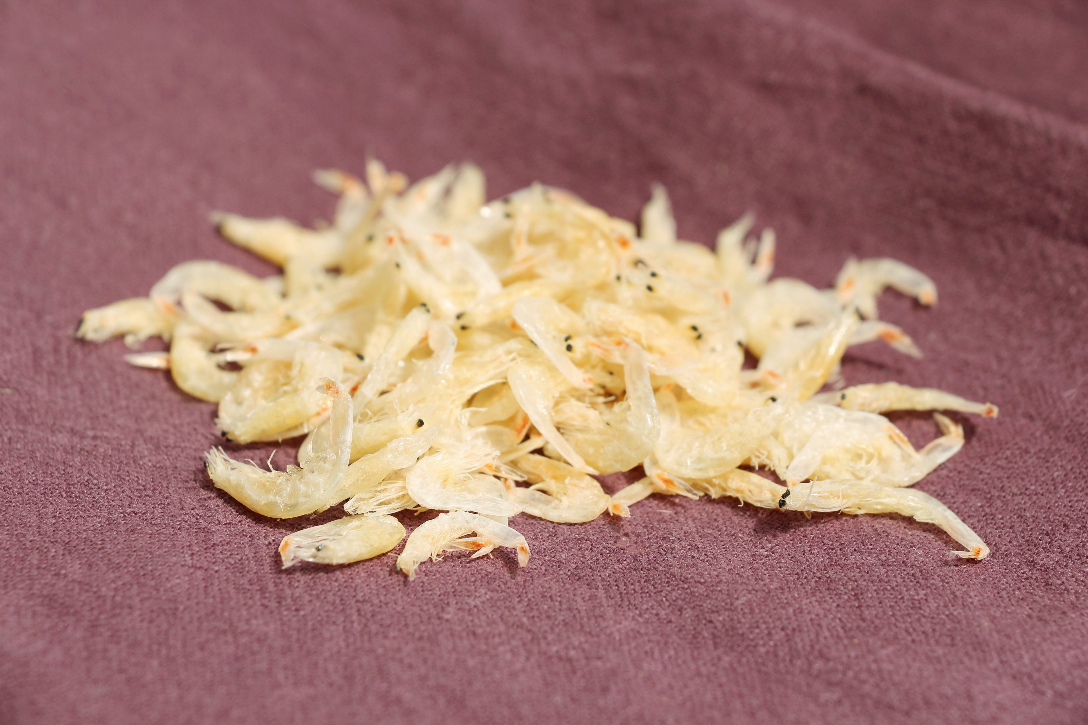 特大芒种虾皮温州口感肉感无添加250g包邮虾皮