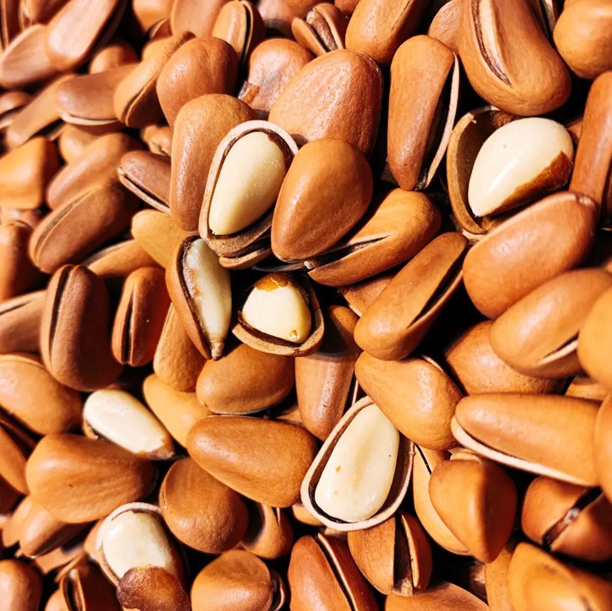 东北辽宁桓仁特产2021年新货野生红松自炒开口松子