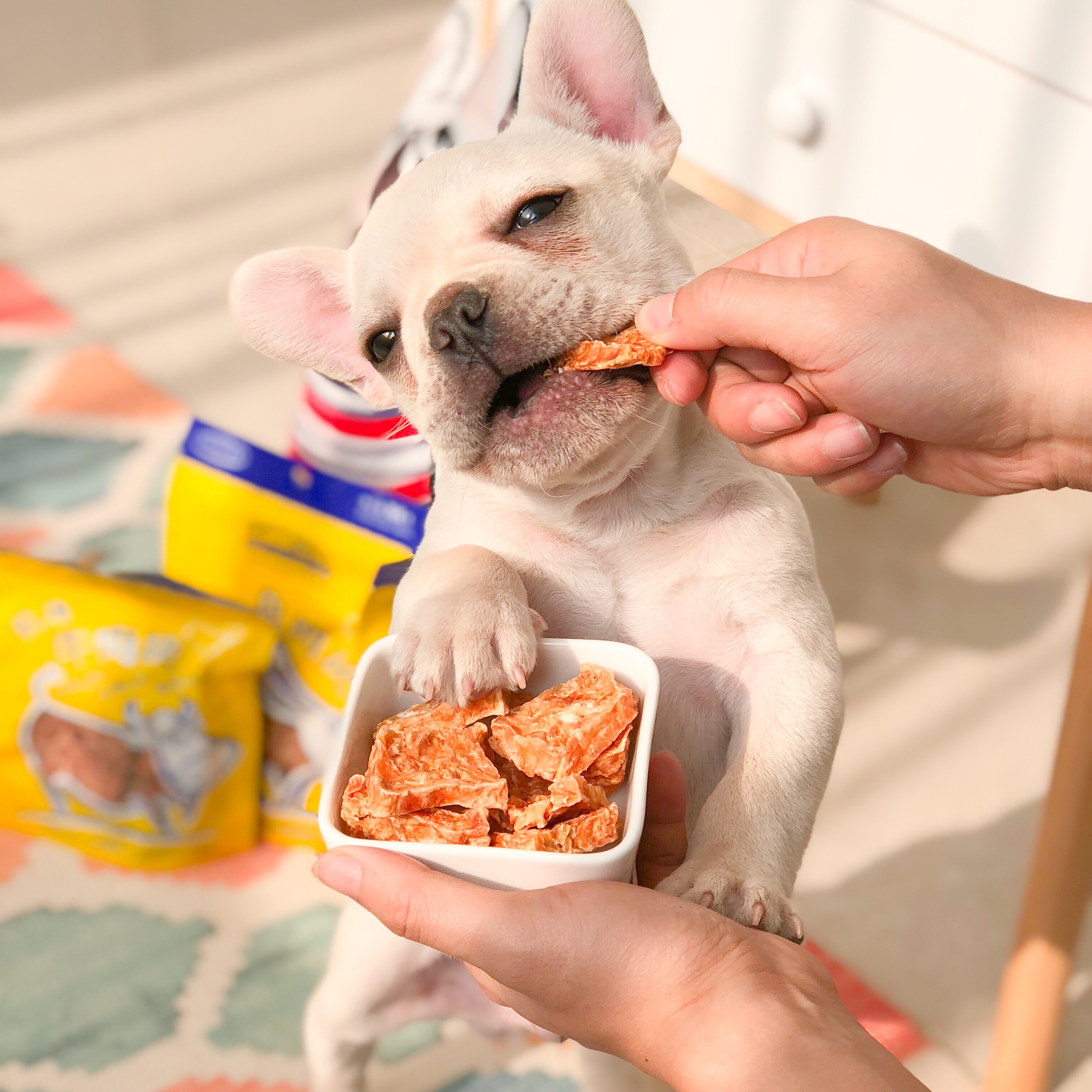 肉干宠物狗零食约翰农场无添加烘焙100g小黄包鸡羊肉狗零食