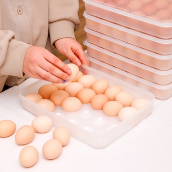 ກ່ອງໄຂ່ທີ່ມີຄວາມຈຸຂະຫນາດໃຫຍ່ຂອງຍີ່ປຸ່ນ 24-grid food-grade kitchen storage box crisper egg tray egg grid