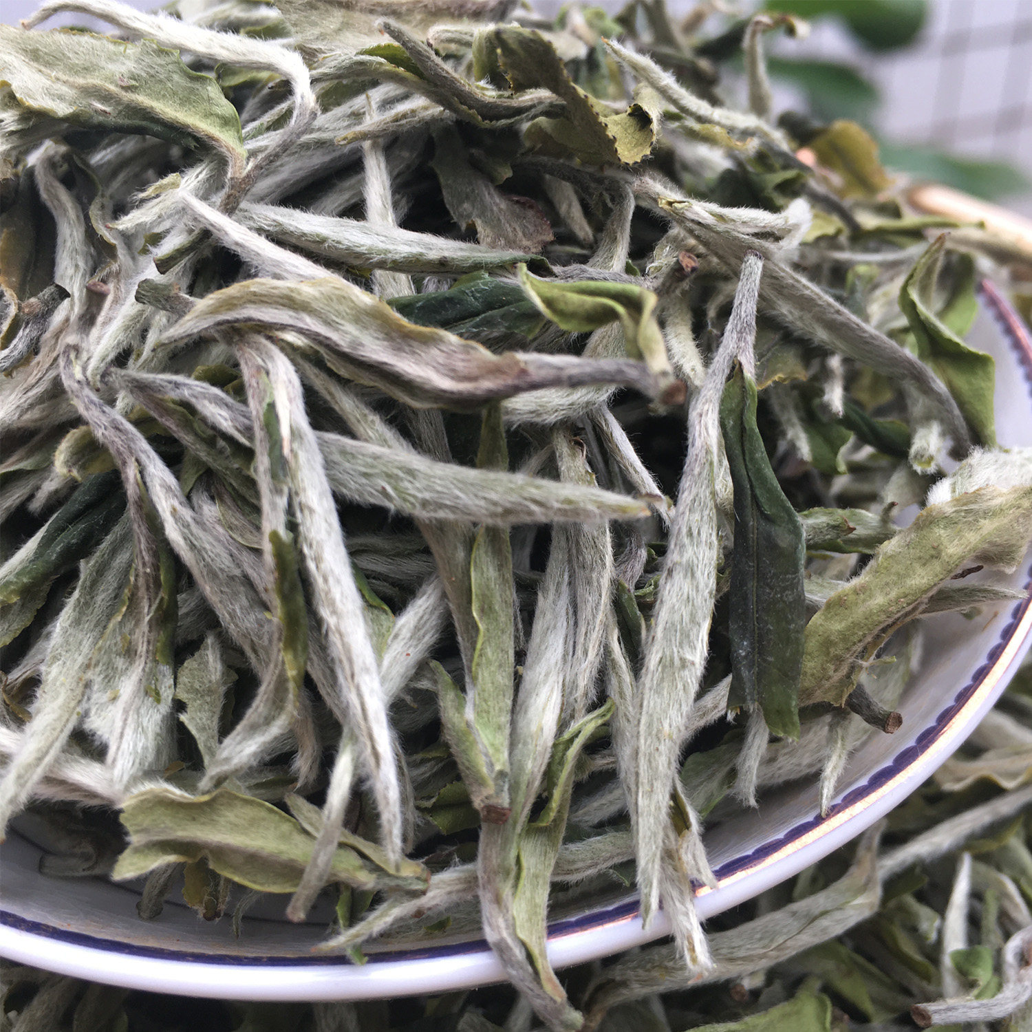 2021年新春茶春茶牡丹王散茶福鼎高山白茶日晒清香白牡丹