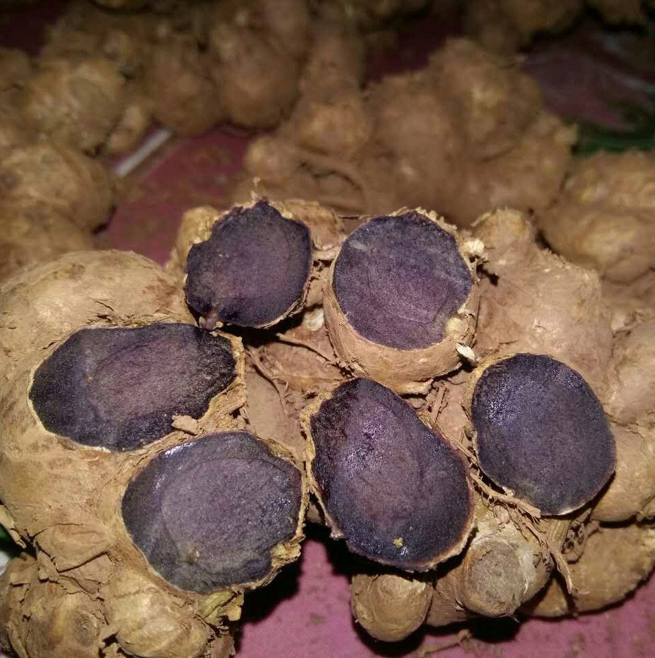 泰国新货现货紫姜姜紫心姜泰国人参生姜干片生姜