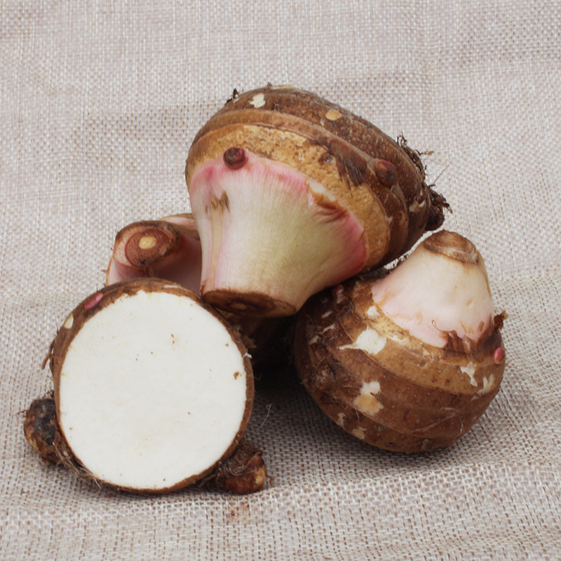 特产芋头宁波正宗奉化芋艿头新鲜小芋毛芋红顶芋头