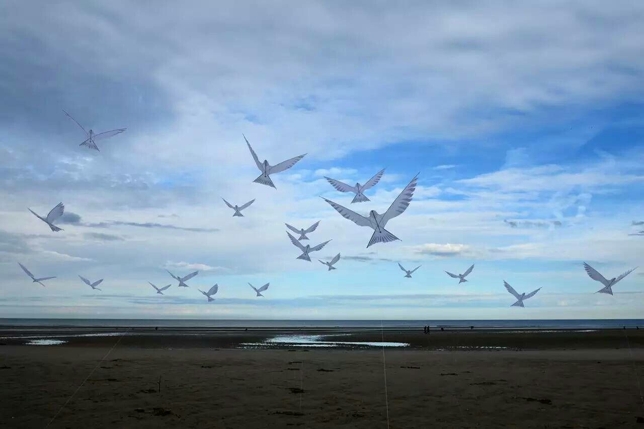 风筝奇遇人生春夏同款白鸽英国进口高档单线风筝