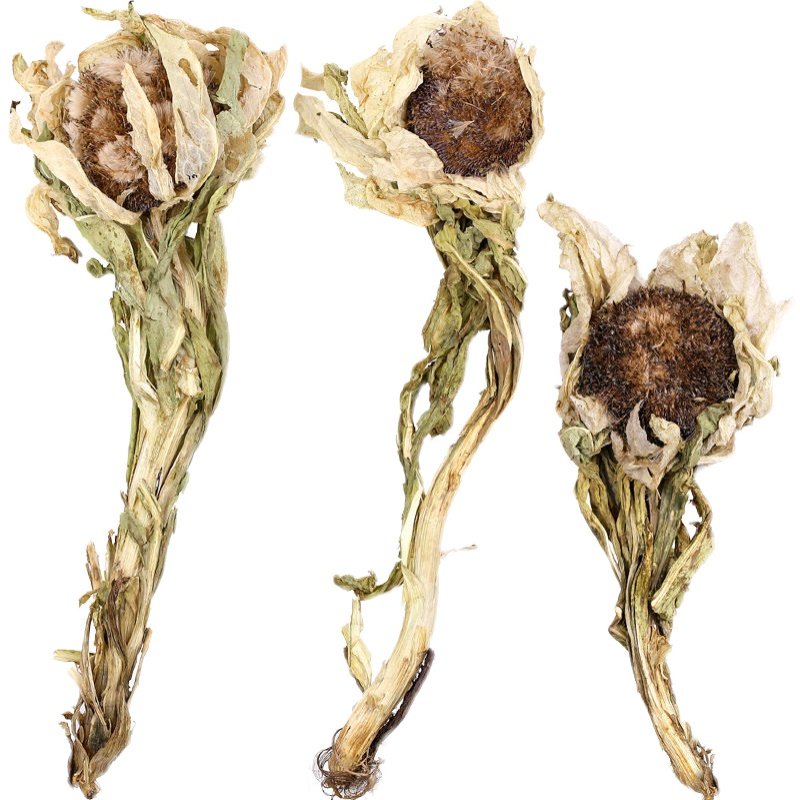 买2送1新疆天山雪莲花4500米雪莲干花中药材男性滋补养生泡酒茶料