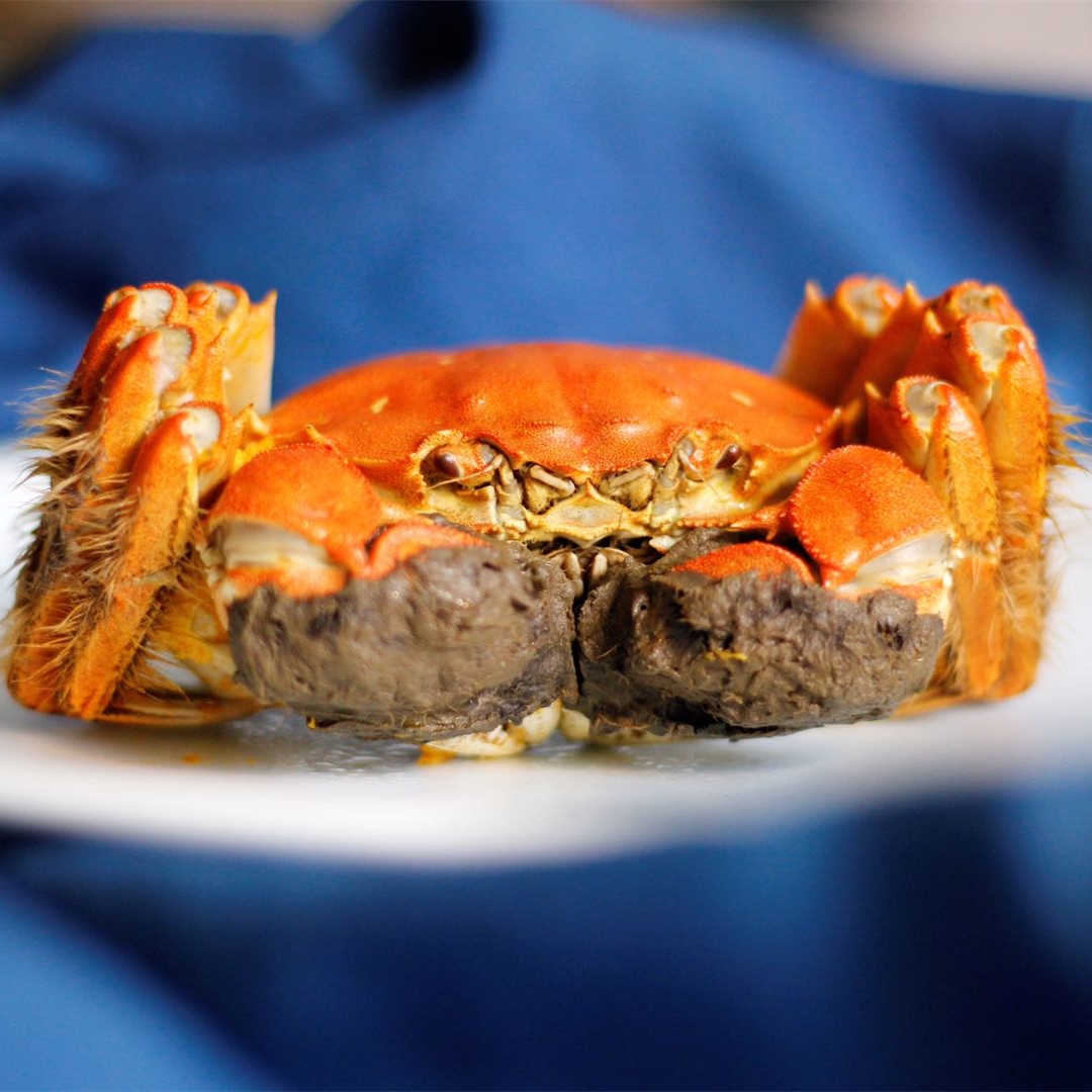 苏州鲜活新鲜活螃蟹自销家庭山水8只24263436大闸蟹