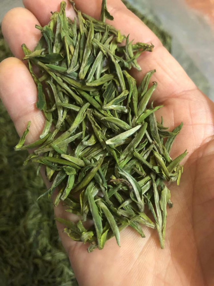 好茶现货高档2021长兴顾渚紫茶礼盒装明前高山其它绿茶