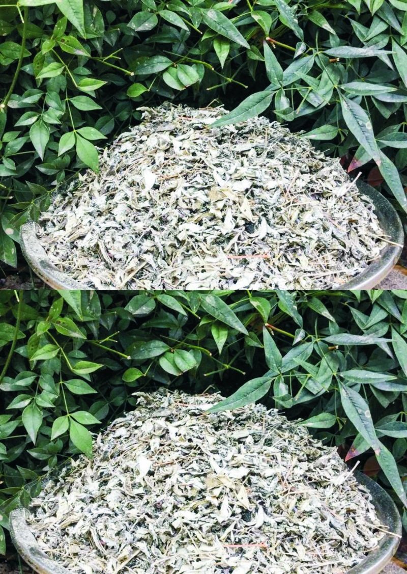 两斤精挑 丽江雪茶 马帮雪茶 雪山古茶 苍山雪茶 丽江藤茶 木府茶