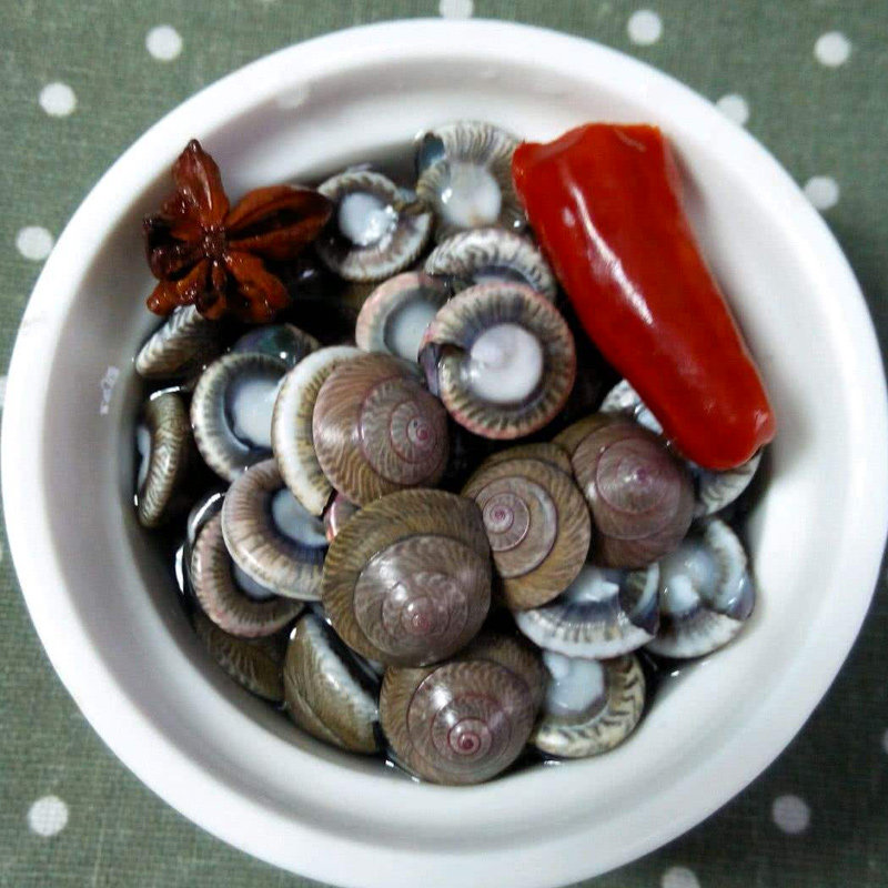 海鲜海货特产大海钱儿海瓜子海螺蛳海锥儿海贝猫眼海螺