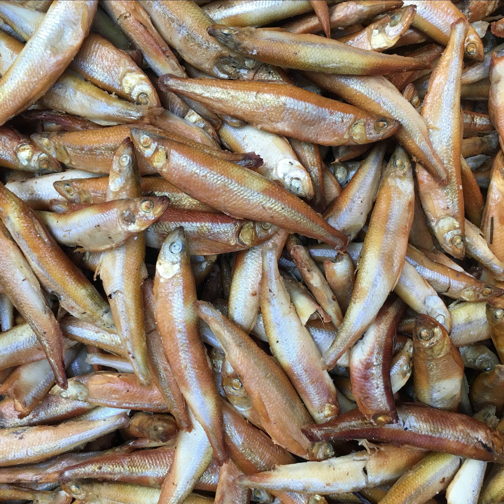 正宗白洋淀特产熏锅包真空真空包包装大号油鱼黄瓜鱼干