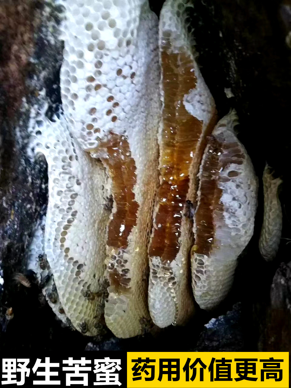 野生蜂蜜纯正天然树洞悬崖苦蜜高海拔森林冬蜜野土黄连大挂土蜂蜜