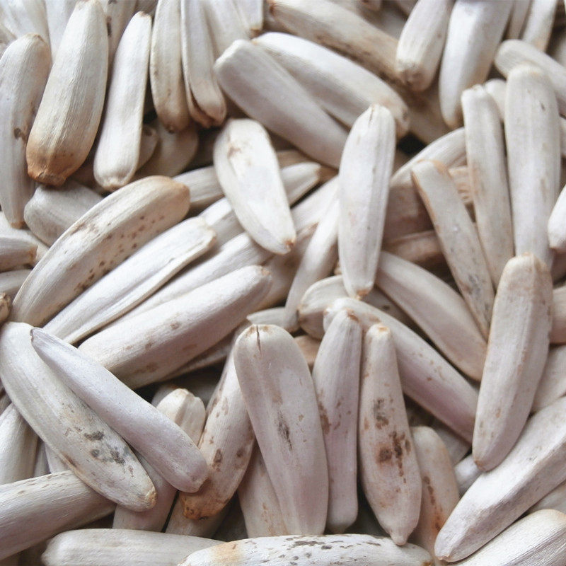 新疆特产大白白瓜子焉耆马牙白葵花籽牙签个大皮薄瓜子