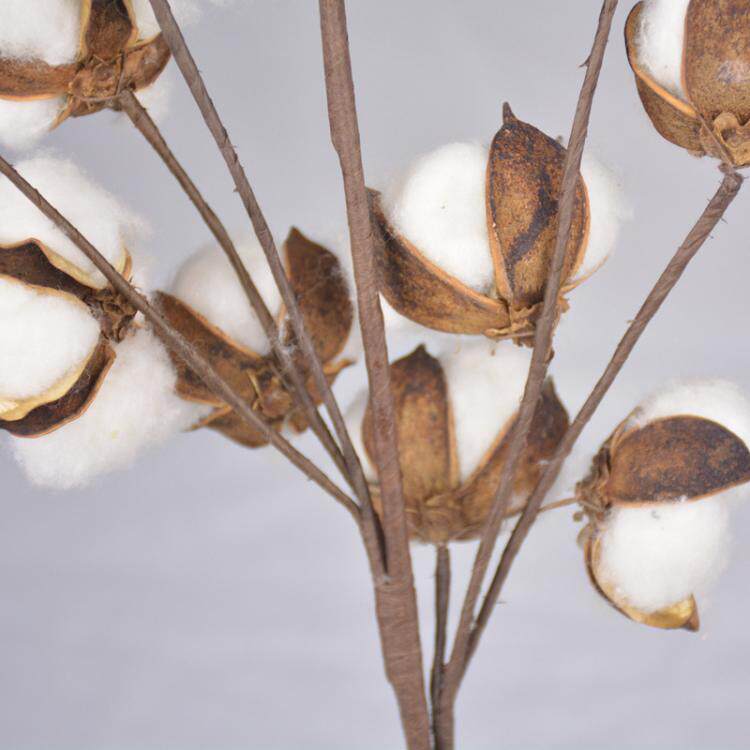 棉花15头干花多头天然棉杆长枝花束花艺植物仿真花