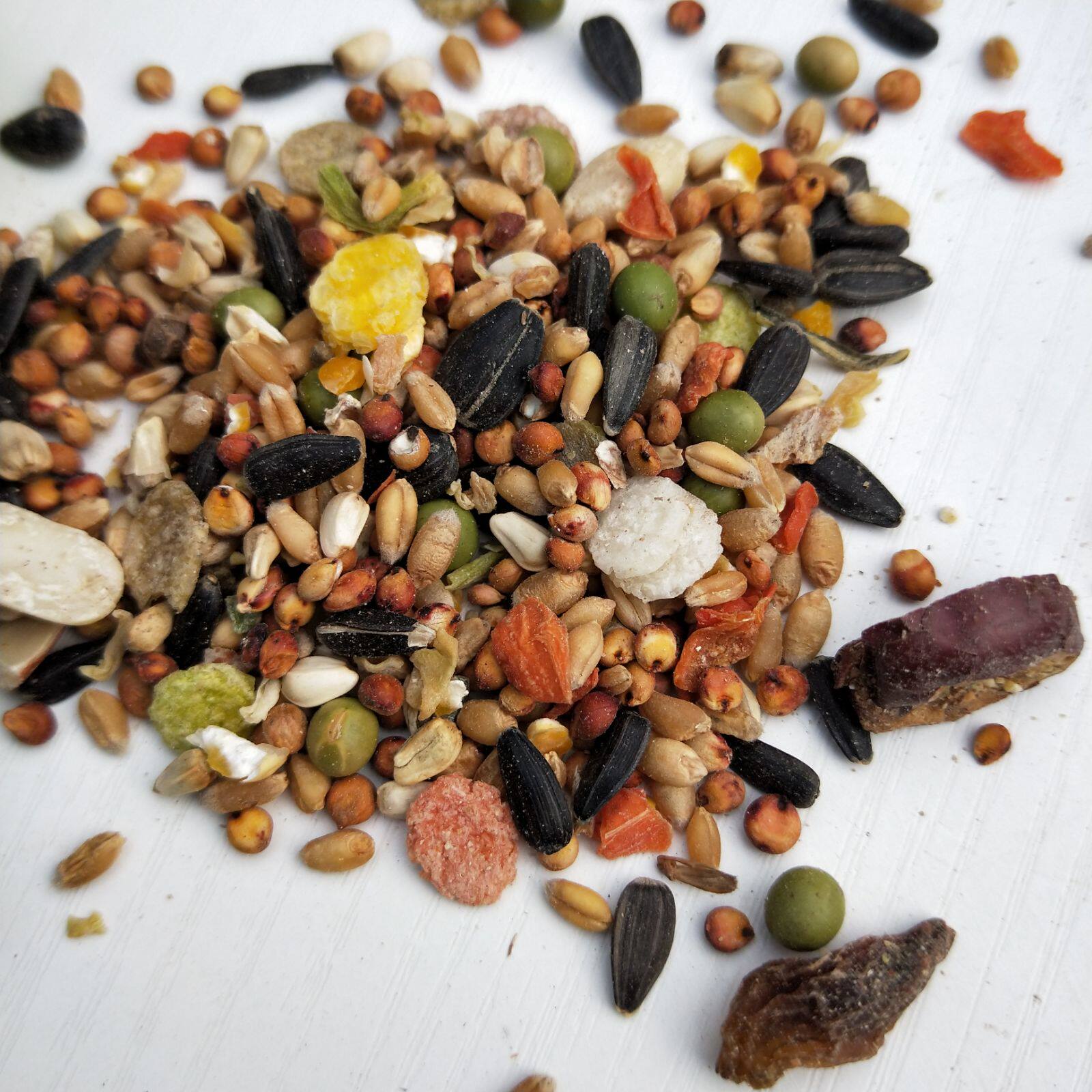 10袋150g金丝熊布丁西施仓鼠粮食饲料饲料