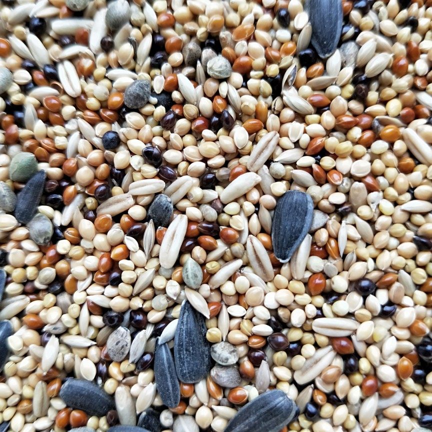 鹦鹉鸟食牡丹玄凤虎皮玄风爱情鸟鸡尾饲料五斤鸟食