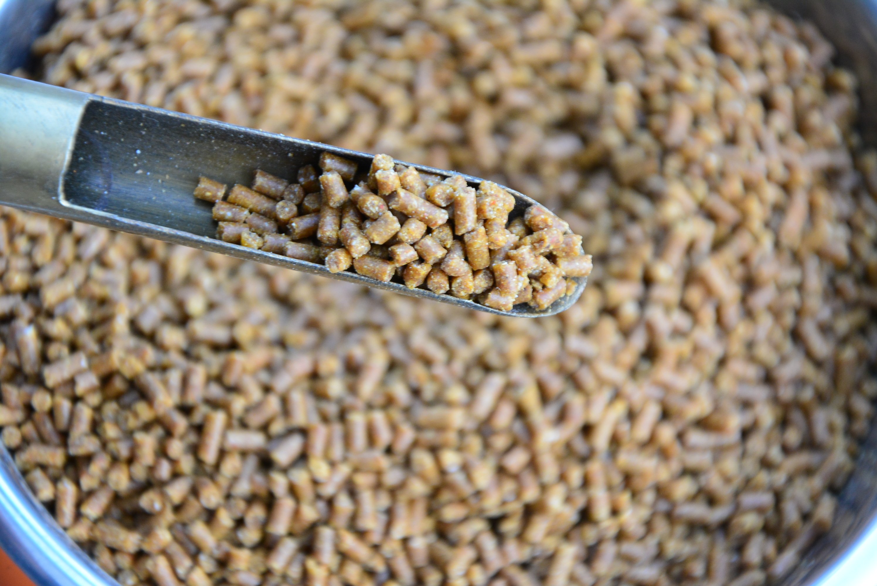 鸟食香港百强鹩哥八哥饲料鸟粮双层真空真空包鸟食