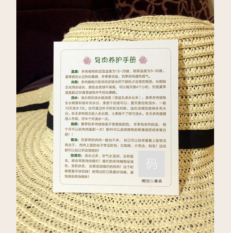 多肉植物养护定制设计创意卡片绿植盆栽宣传名片