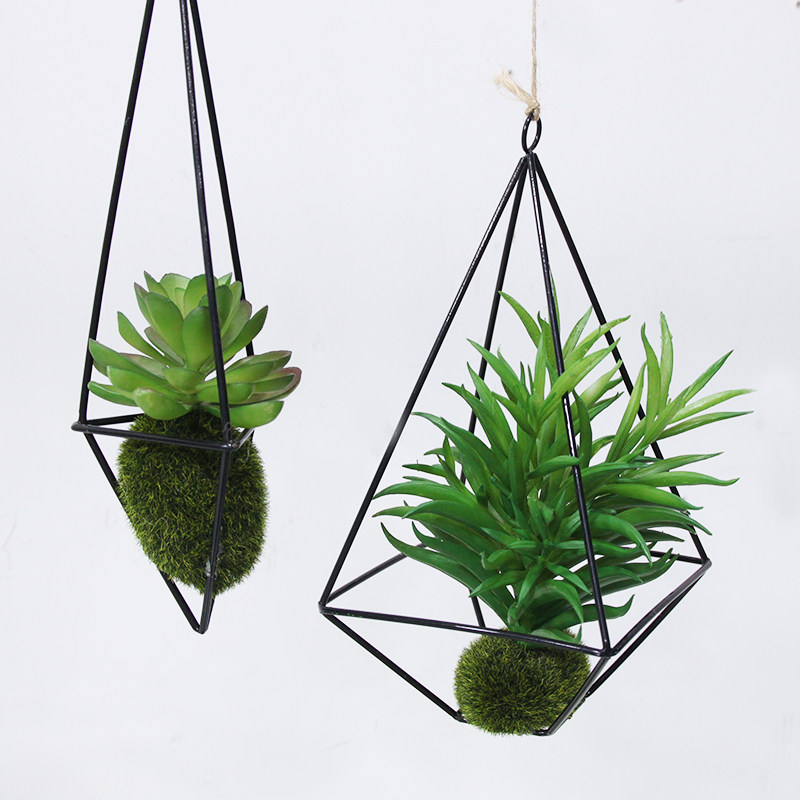 吊挂植物屋内装饰墙面挂件宿舍装饰悬挂绿植物小盆栽垂吊吧台吊饰