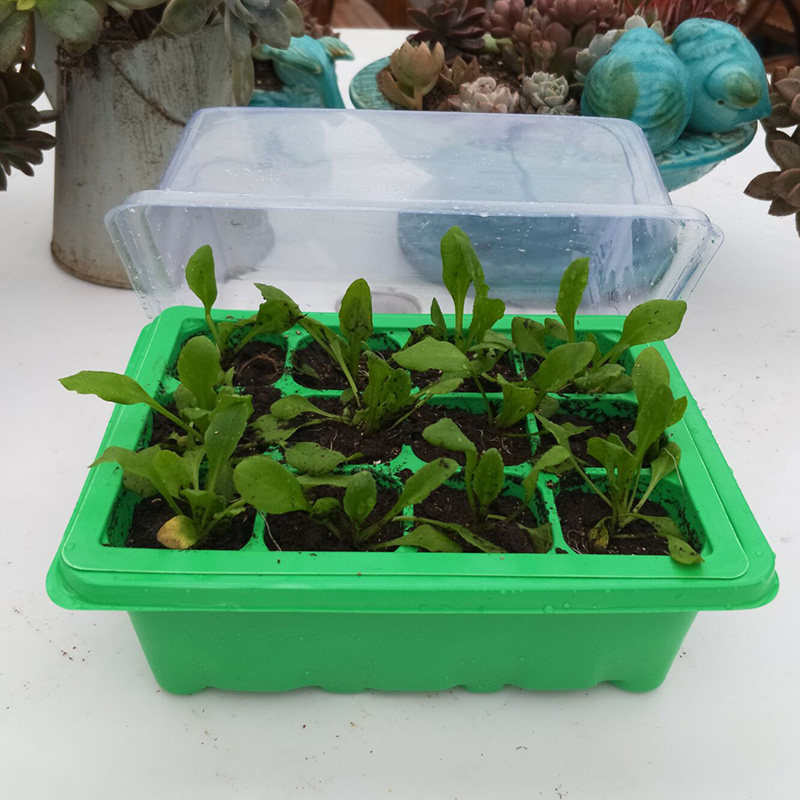 育苗箱 育苗盒三件套 温室育苗箱 园艺工具提高出芽率和时间