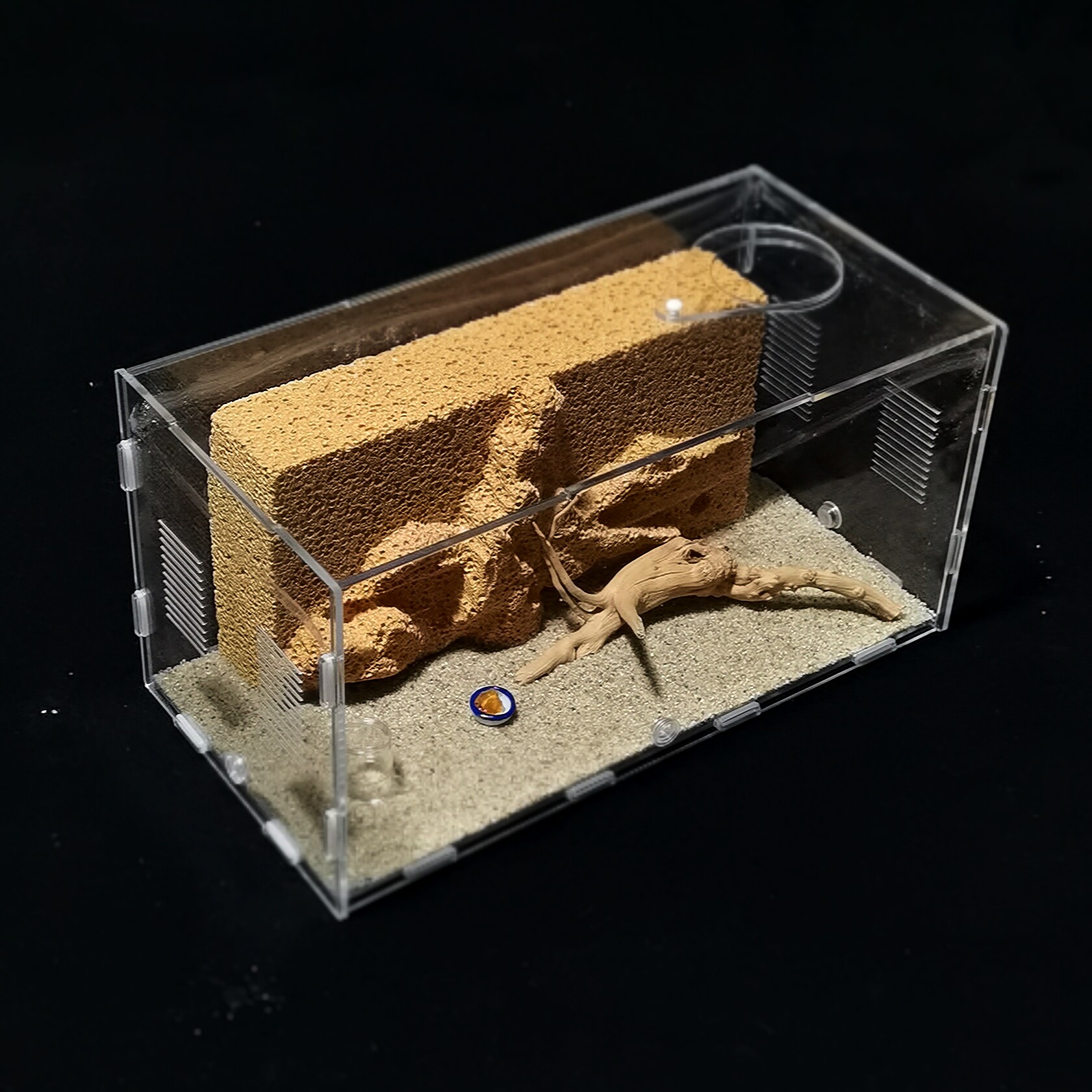 蚂蚁宠物生态五代发泡混凝土蚁巢蚂蚁城堡工坊加气蚂蚁工坊