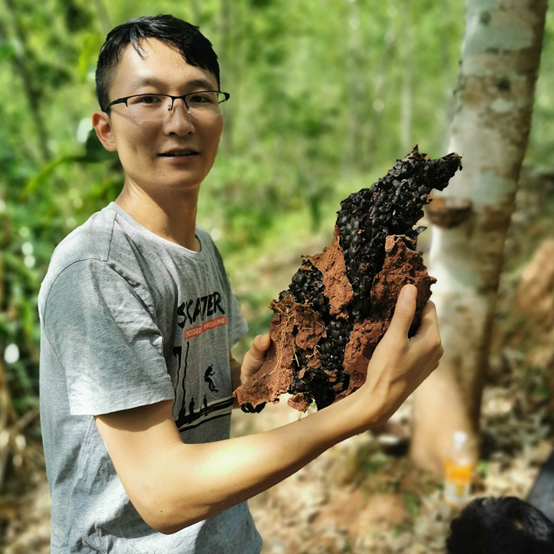 酸蜂蜜树酸蜂蜜土酸蜂蜜药蜜水果蜜珍惜纯天然正品农家野生蜂蜜