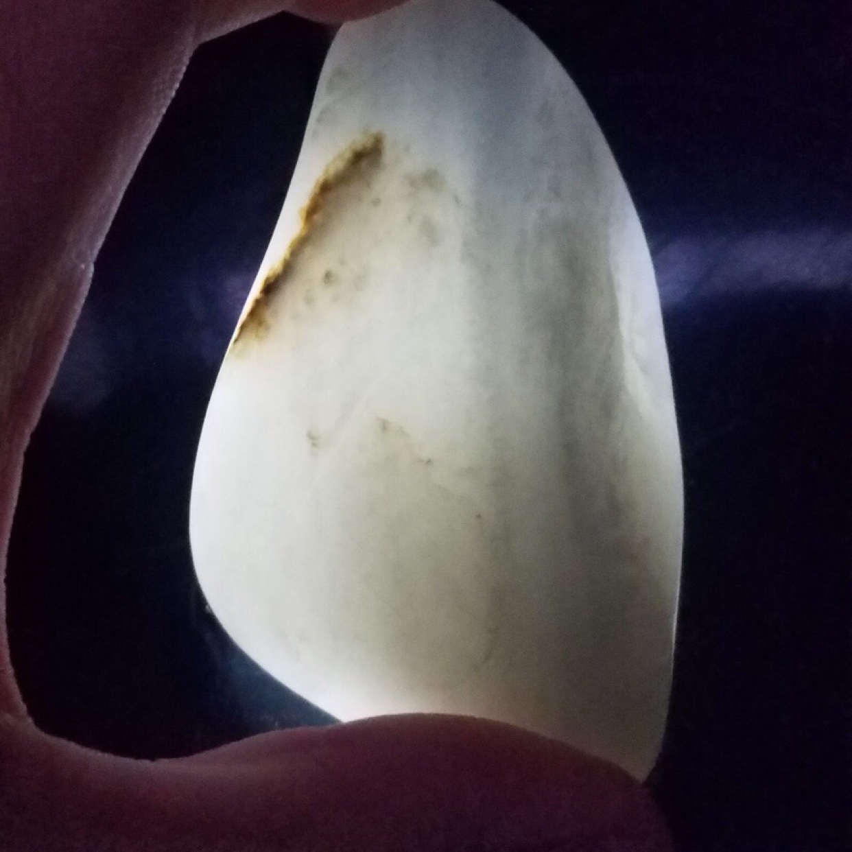 籽料证书新款纯天然新疆和田青花原石手饰青花玉手饰