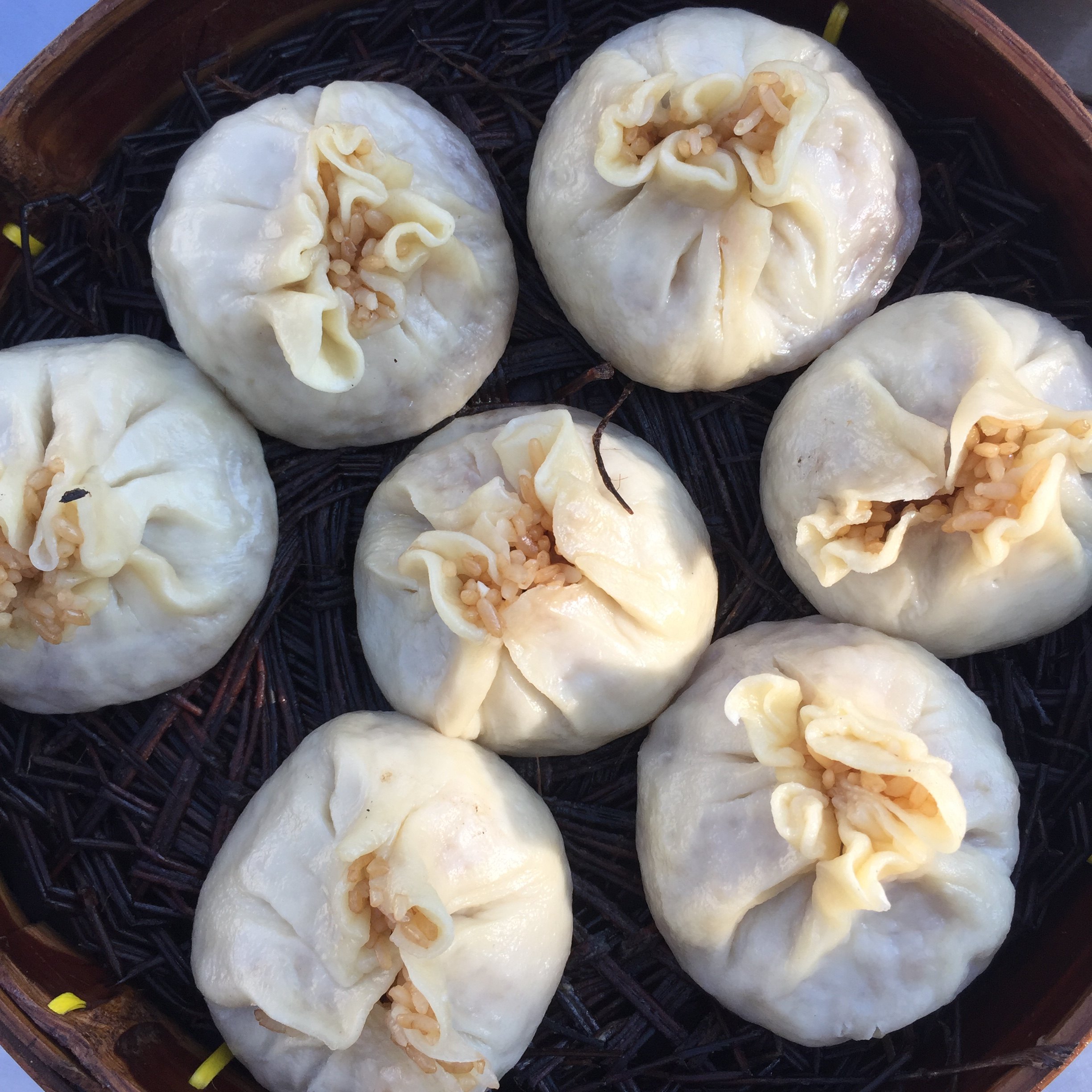 扬州特产包子烧卖包新鲜5只一袋手工大烧麦包高邮特色糯米烧麦