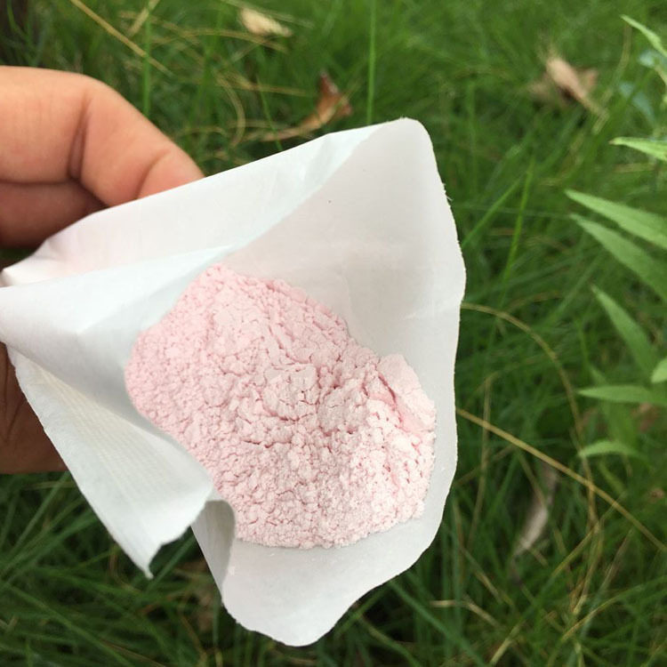 新货老北京紫罗兰沉香香粉50g袋装盒装粉蜜蜜粉