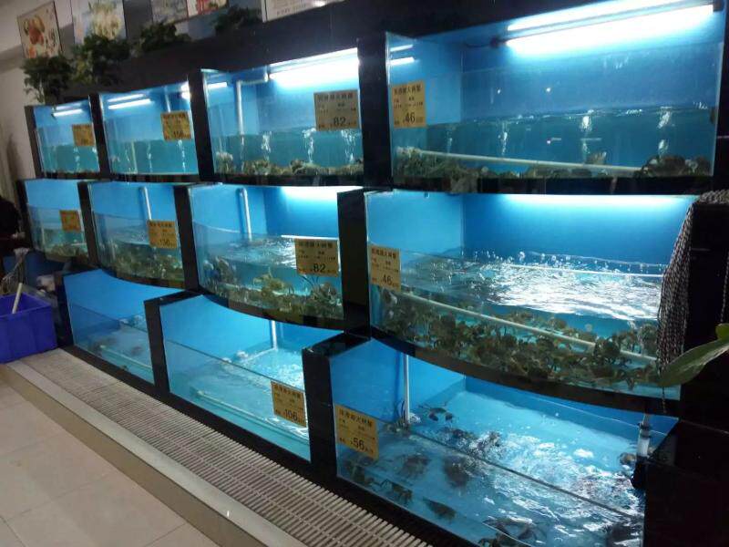 海鲜鱼缸陕西西安酒店超市商场商场超市池海桌面缸
