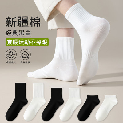 鑫涛袜子10双男士袜子