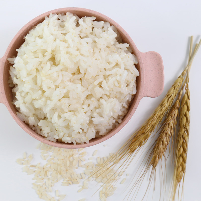 苏嫲嫲有机整粒胚芽米谷谷物五常大米粗粮搭配大米